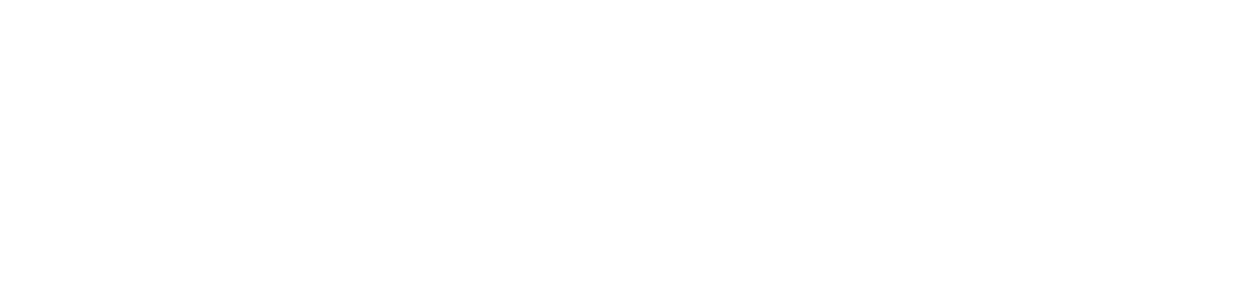 Logotipo Fesfsus